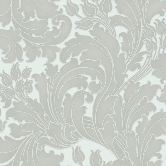 Fondo de pantalla de tulipanes Little Greene - Nube