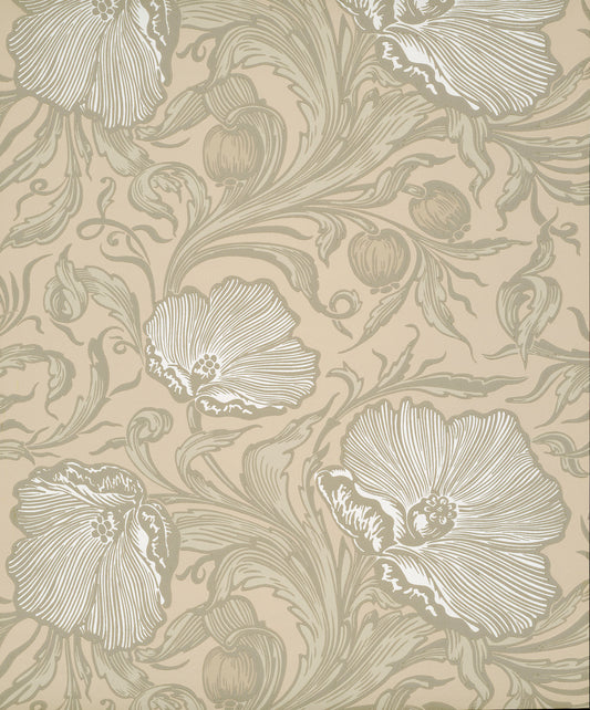 Papel pintado Little Greene Poppy Trail - Piedra Portland