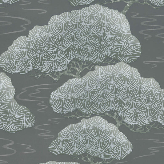 Fondo de pantalla de Little Greene Pines - Pino plateado