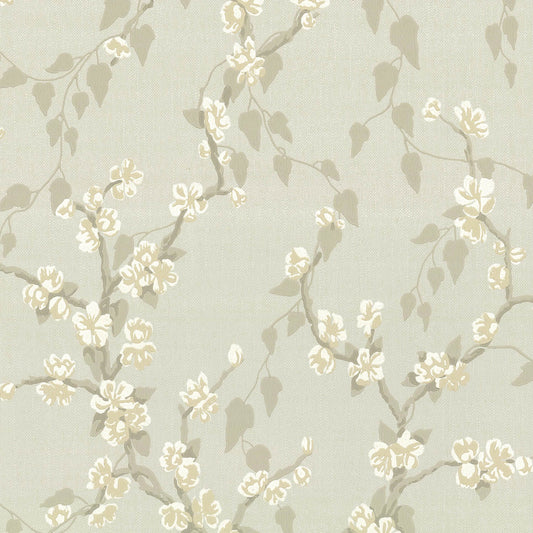 Fondo de pantalla de Little Greene Sakura - Fawn