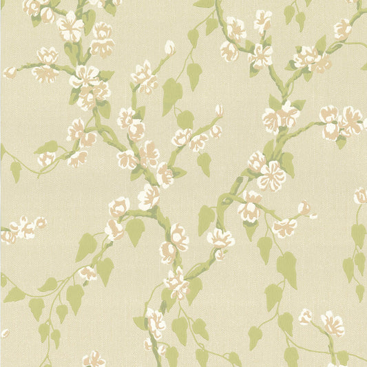 Fondo de pantalla de Little Greene Sakura - Pomme