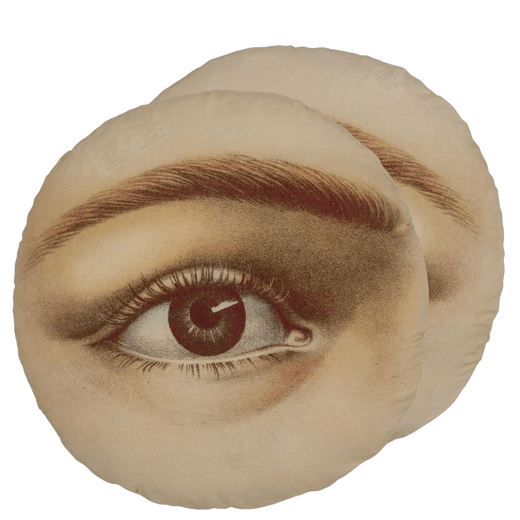 Almofada John Derian Eye Sepia - Stoc Casa