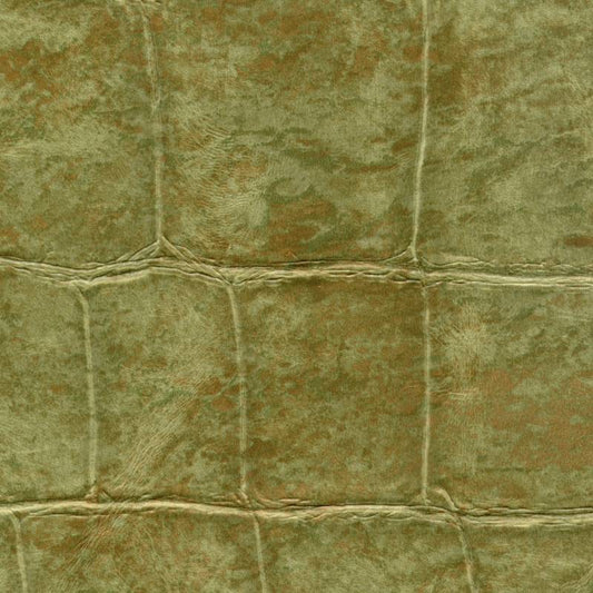 Papel de Parede Élitis Big Croco - Star du 7ème Art - Stoc Casa - Lisboa