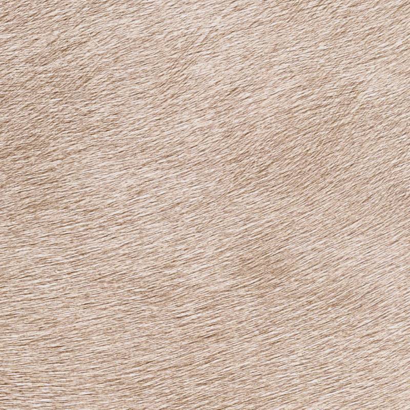 Papel de Parede Élitis Movida - Un Alezan au crin doré - Stoc Casa - Lisboa