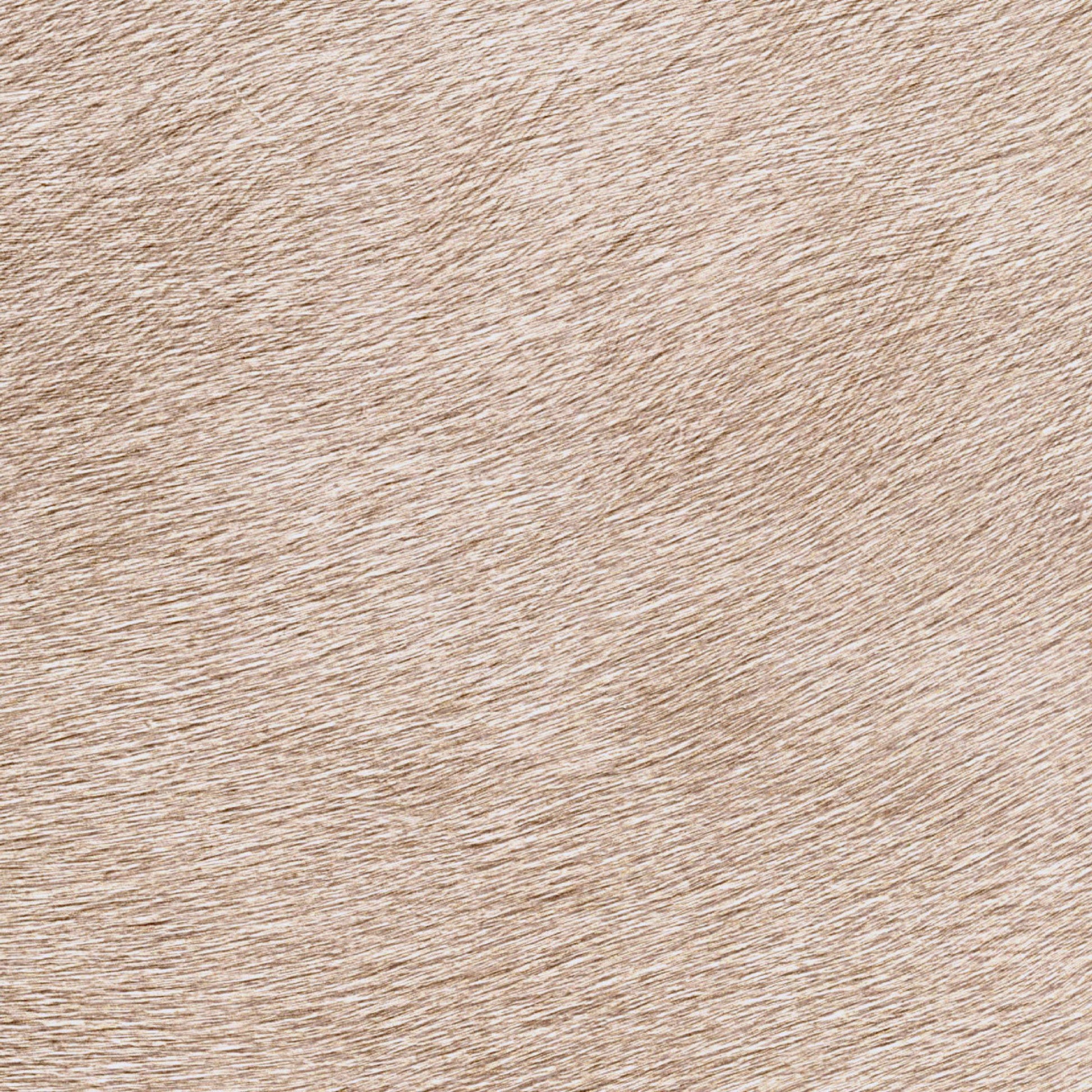 Papel de Parede Élitis Movida - Un Alezan au crin doré - Stoc Casa - Lisboa