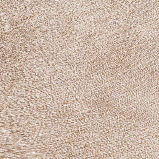 Papel de Parede Élitis Movida - Un Alezan au crin doré - Stoc Casa - Lisboa