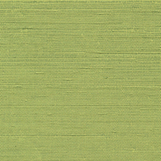 Papel de Parede Élitis Her Majesty - Courants forts - Stoc Casa - Lisboa