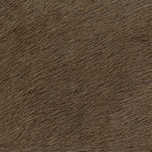 Papel de Parede Élitis Movida - Son meilleur trophée - Stoc Casa - Lisboa