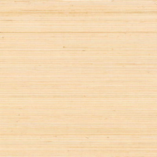 Papel de Parede Élitis Coiba - Un premier matin - Stoc Casa - Lisboa