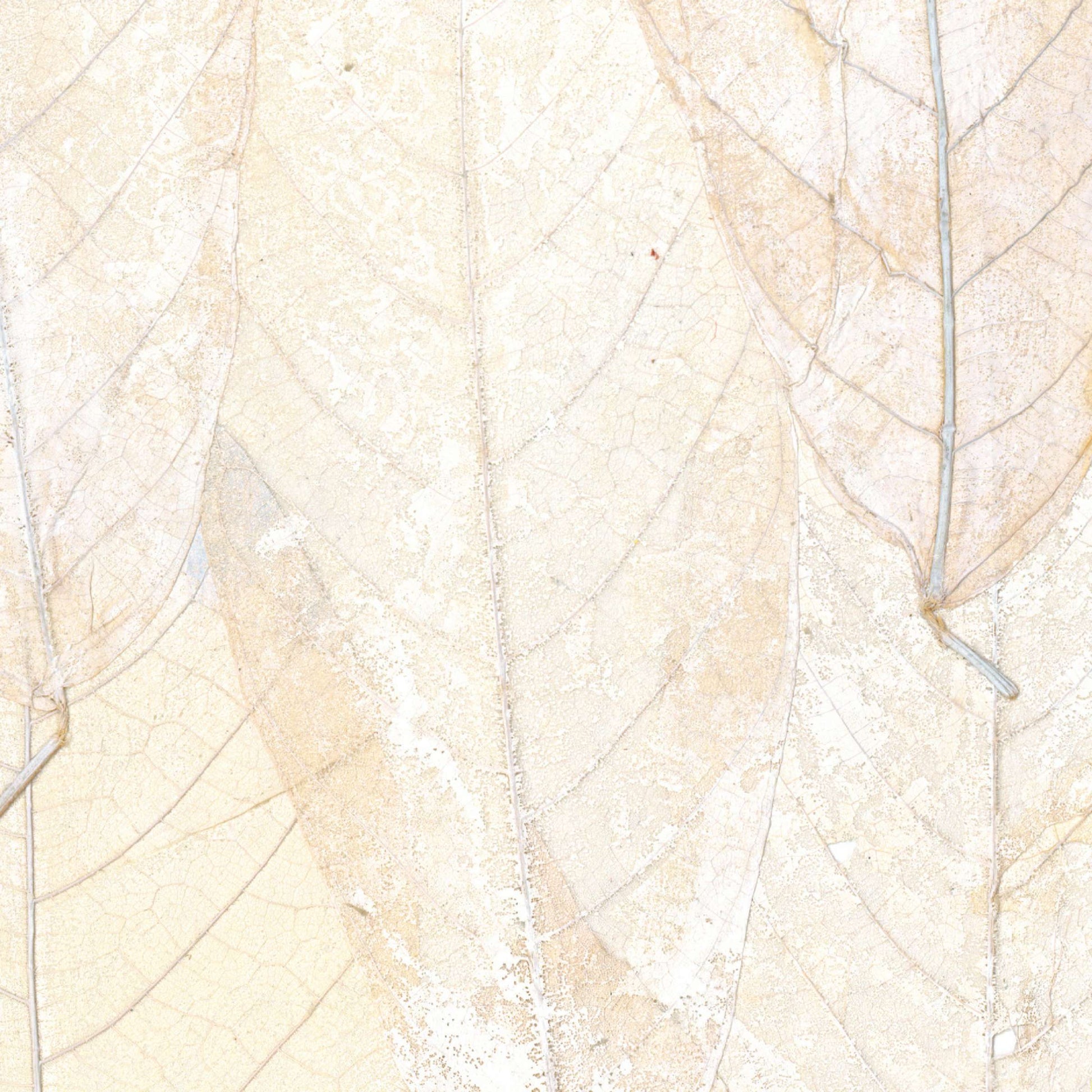 Papel de Parede Élitis Blanche neige - Il était une fois - Stoc Casa - Lisboa