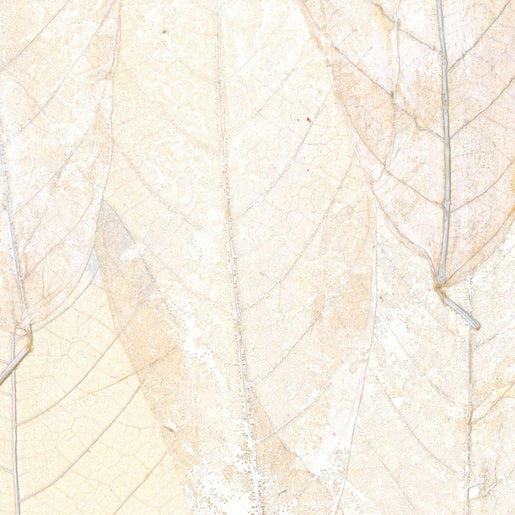 Papel de Parede Élitis Blanche neige - Il était une fois - Stoc Casa - Lisboa