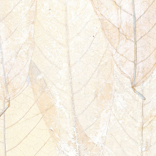 Papel de Parede Élitis Blanche neige - Il était une fois - Stoc Casa - Lisboa