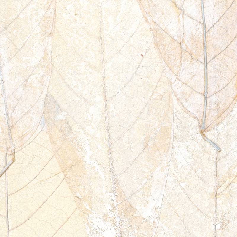 Papel de Parede Élitis Blanche neige - Il était une fois - Stoc Casa - Lisboa