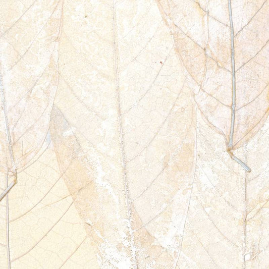 Papel de Parede Élitis Blanche neige - Il était une fois - Stoc Casa - Lisboa