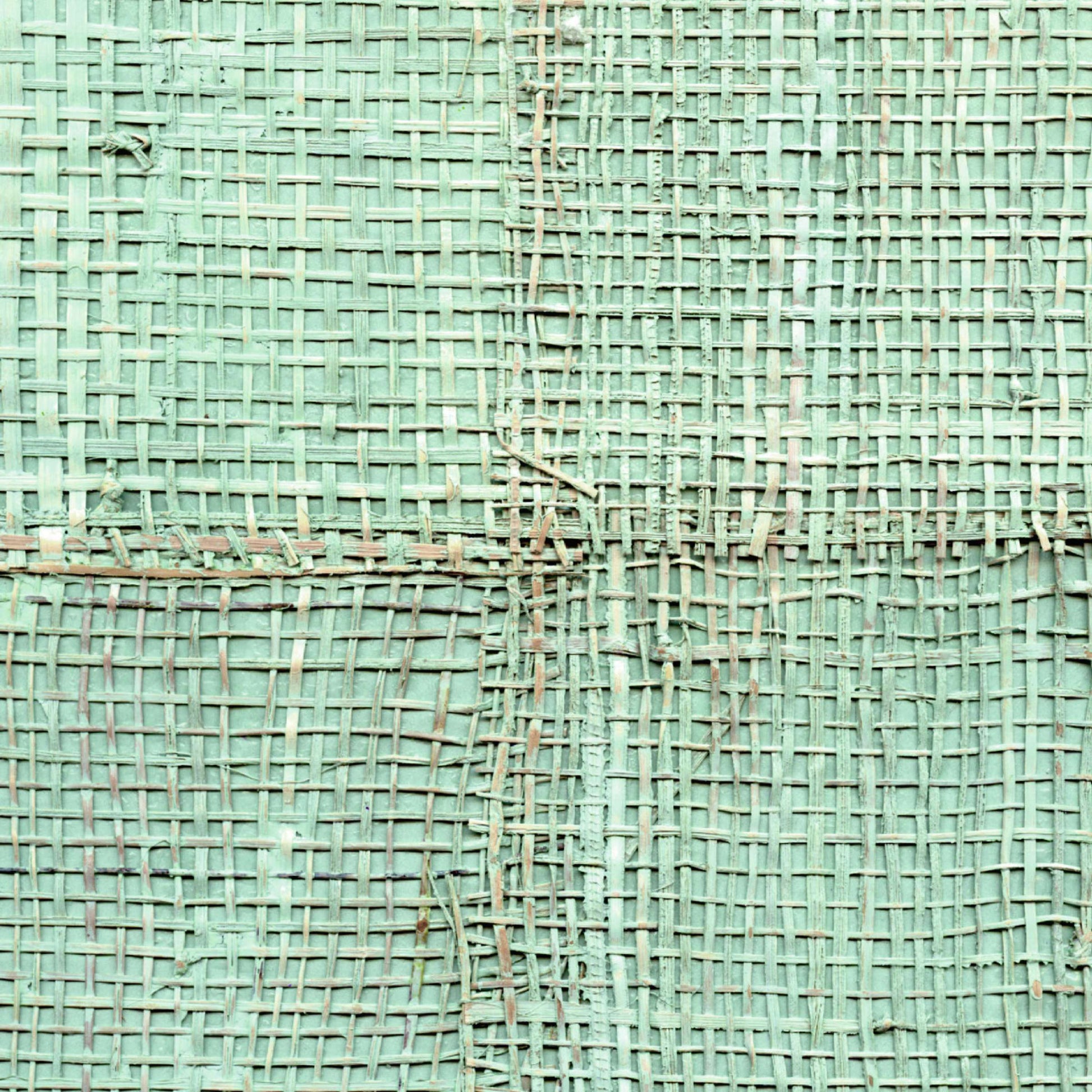 Papel de Parede Élitis Pachira - Secrète escapade - Stoc Casa - Lisboa