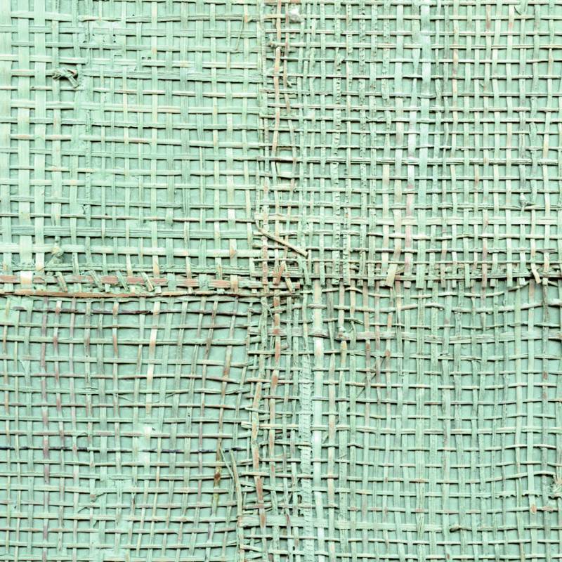 Papel de Parede Élitis Pachira - Secrète escapade - Stoc Casa - Lisboa