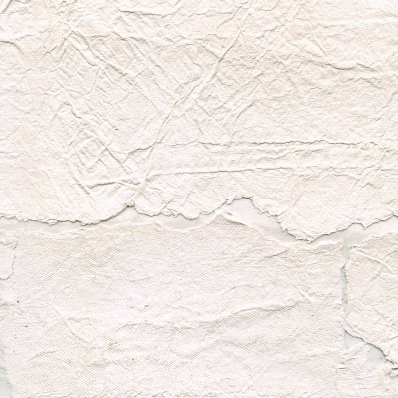 Papel de Parede Élitis Satoyama - Troublante transparence - Stoc Casa - Lisboa