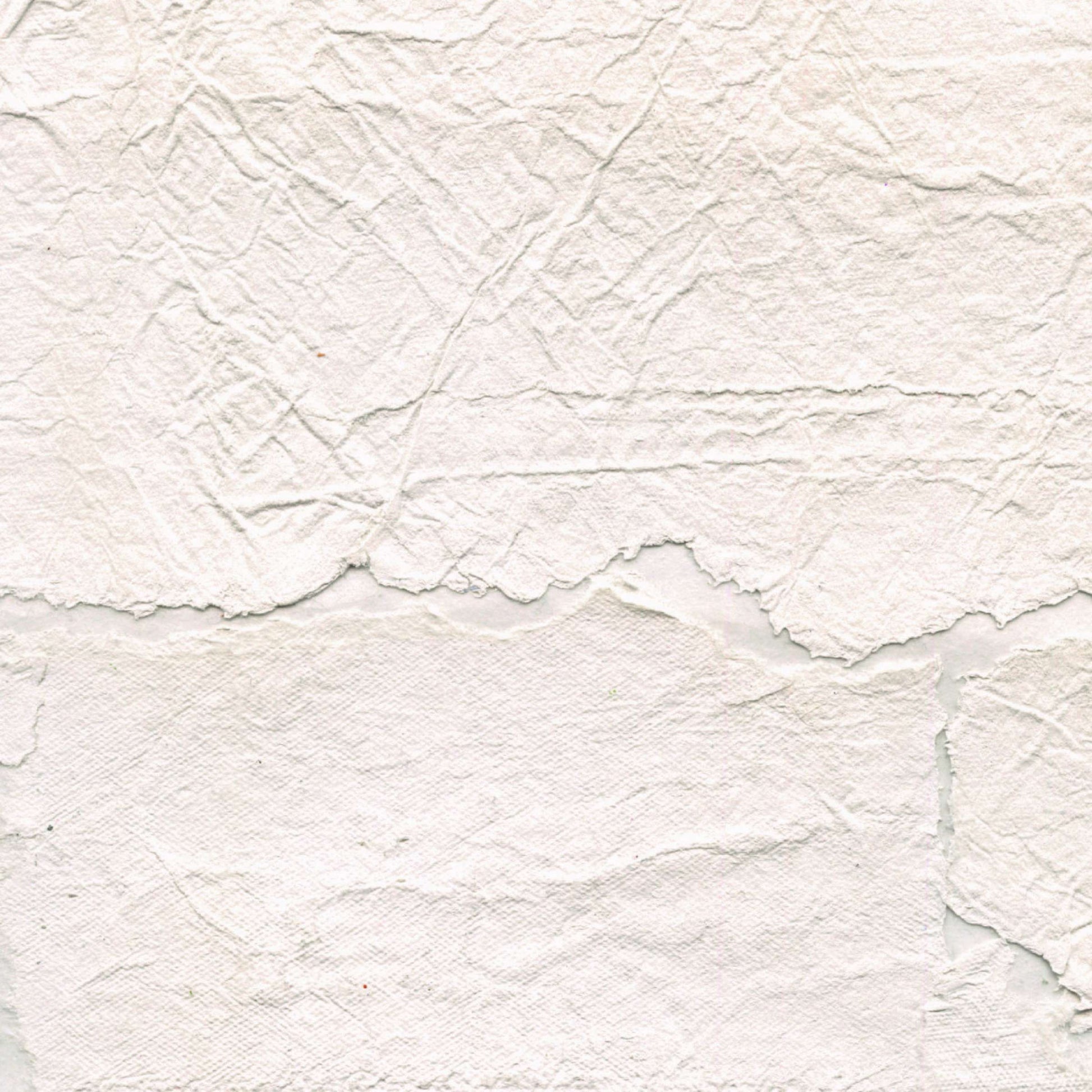 Papel de Parede Élitis Satoyama - Troublante transparence - Stoc Casa - Lisboa