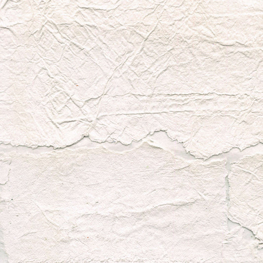 Papel de Parede Élitis Satoyama - Troublante transparence - Stoc Casa - Lisboa