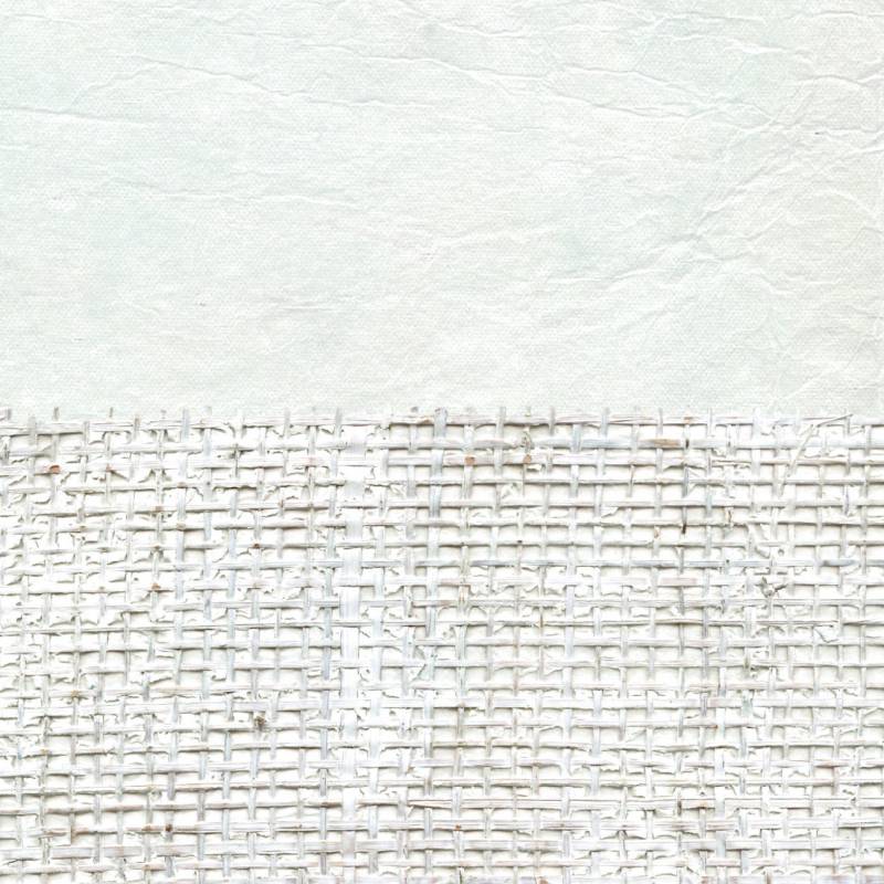 Papel de Parede Élitis Tahara - La reine des neiges - Stoc Casa - Lisboa