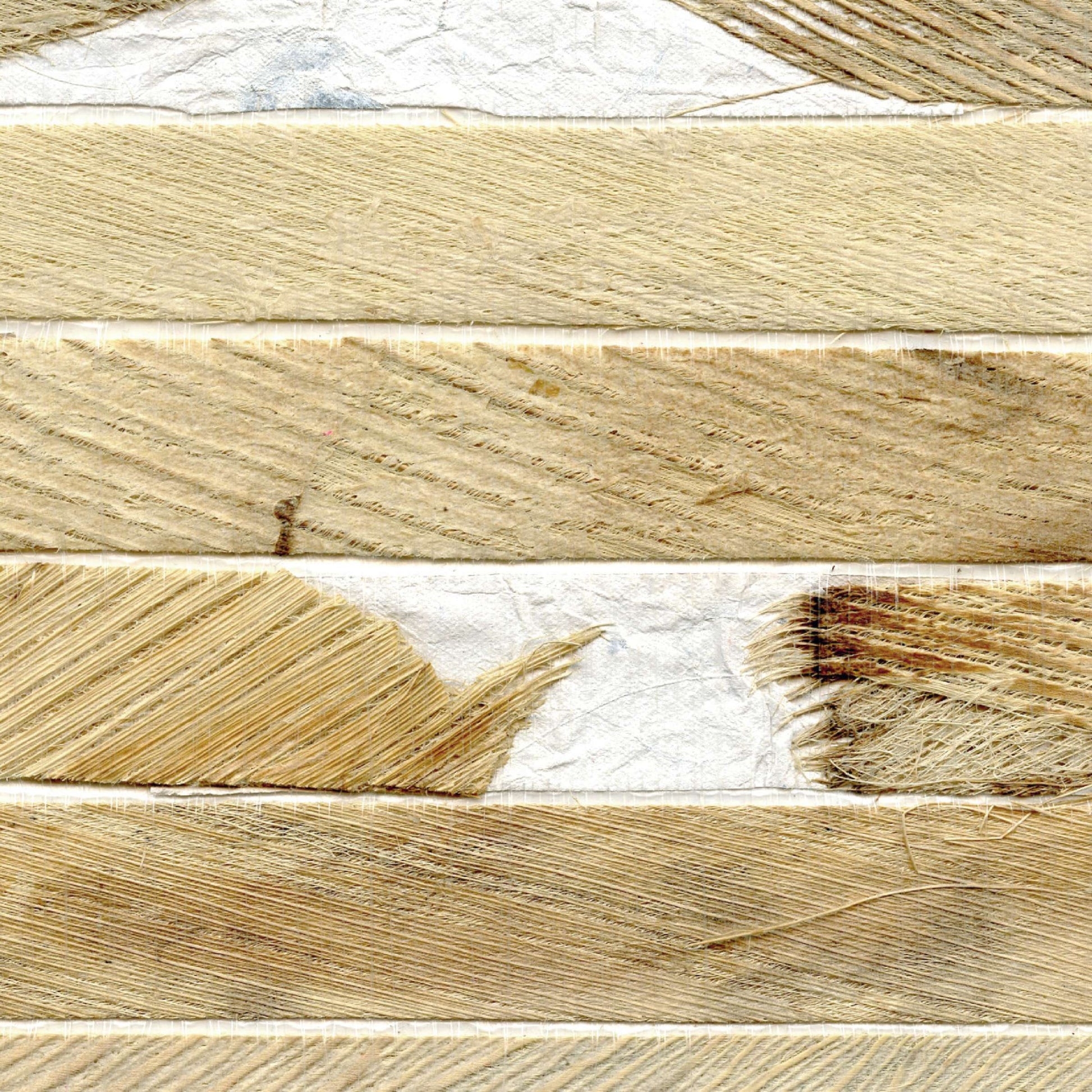 Papel de Parede Élitis Tobor - Au plus près de la nature - Stoc Casa - Lisboa