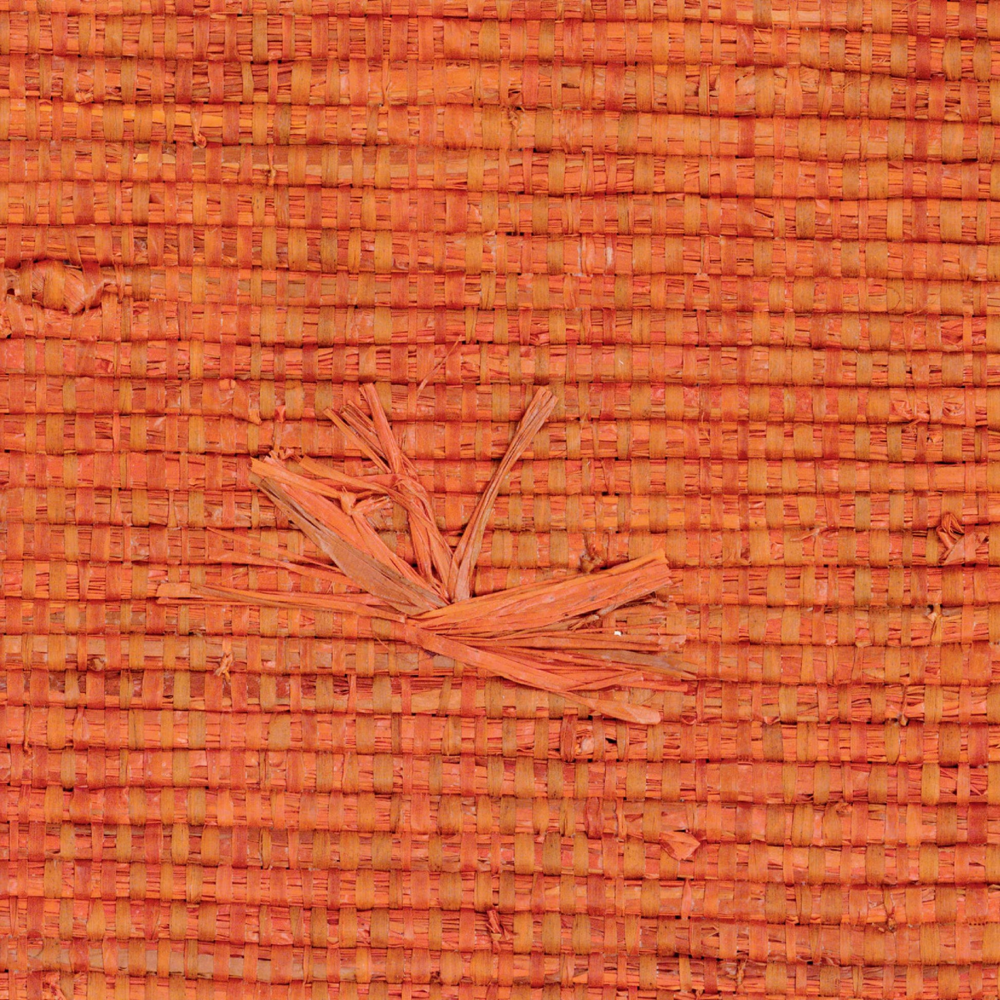 Papel de Parede Élitis Nosy Be - Jet set avant l'heure - Stoc Casa - Lisboa