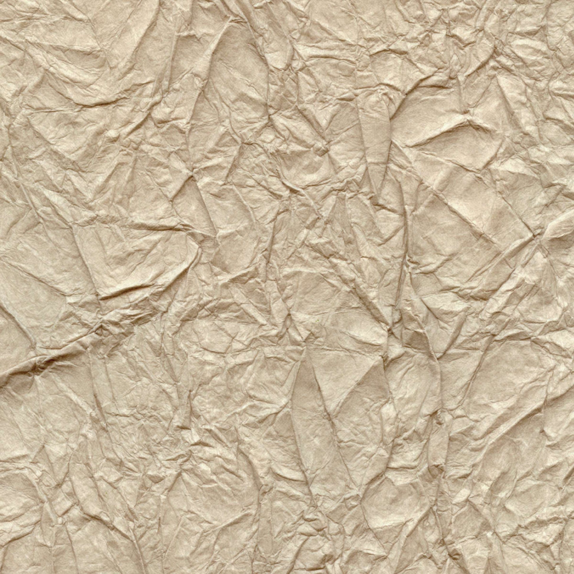 Papel de Parede Élitis Splendeurs d'une favorite - Un monde de douceur - Stoc Casa - Lisboa