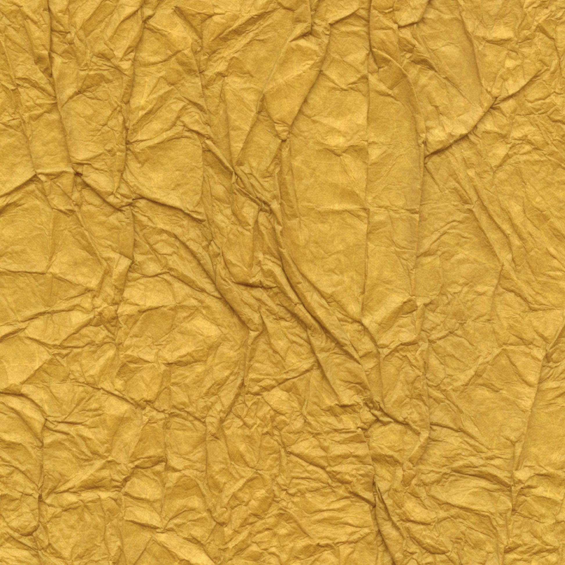 Papel de Parede Élitis Splendeurs d'une favorite - Le silence est d'or - Stoc Casa - Lisboa