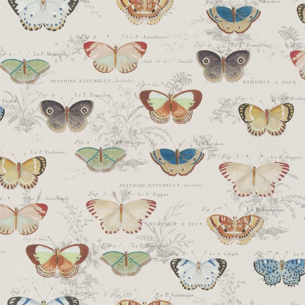 Papel de Parede John Derian Butterfly Studies Parchment - Stoc Casa