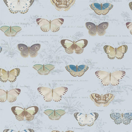 Papel de Parede John Derian Butterfly Studies Cloud Blue - Stoc Casa