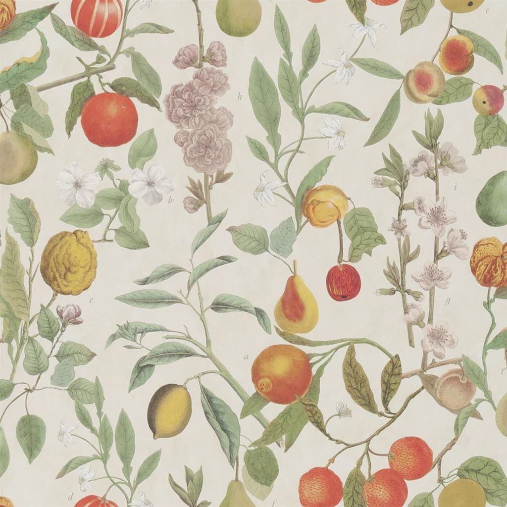 Papel de Parede John Derian Orchard Fruits Parchment - Stoc Casa