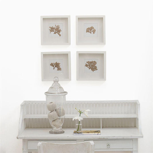 Tinta Designers Guild Pure White No. 1 - Stoc Casa